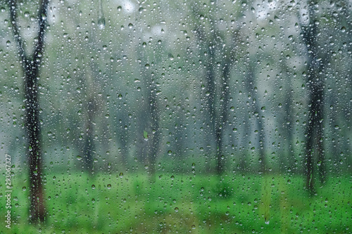 Raindrops on the window glass among the beautiful and refreshing green forest. The pure nature relieves the heart for humans.