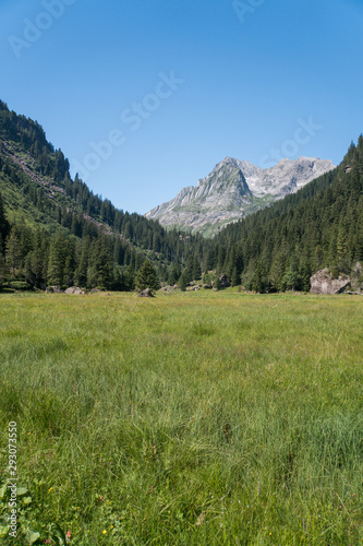 Father and Son angler Fly Fishing Swiss Alps