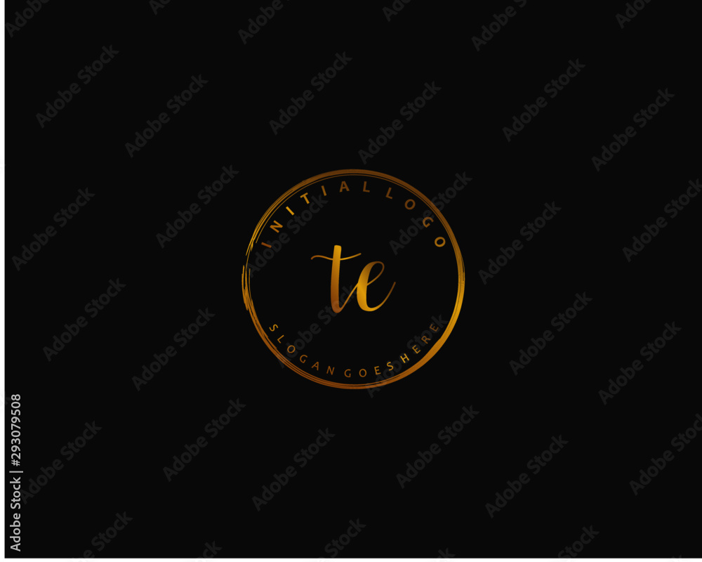 Fototapeta premium TE Initial handwriting logo vector