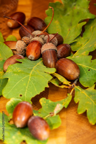 oak cutting board and acorns among leaves, close-up.