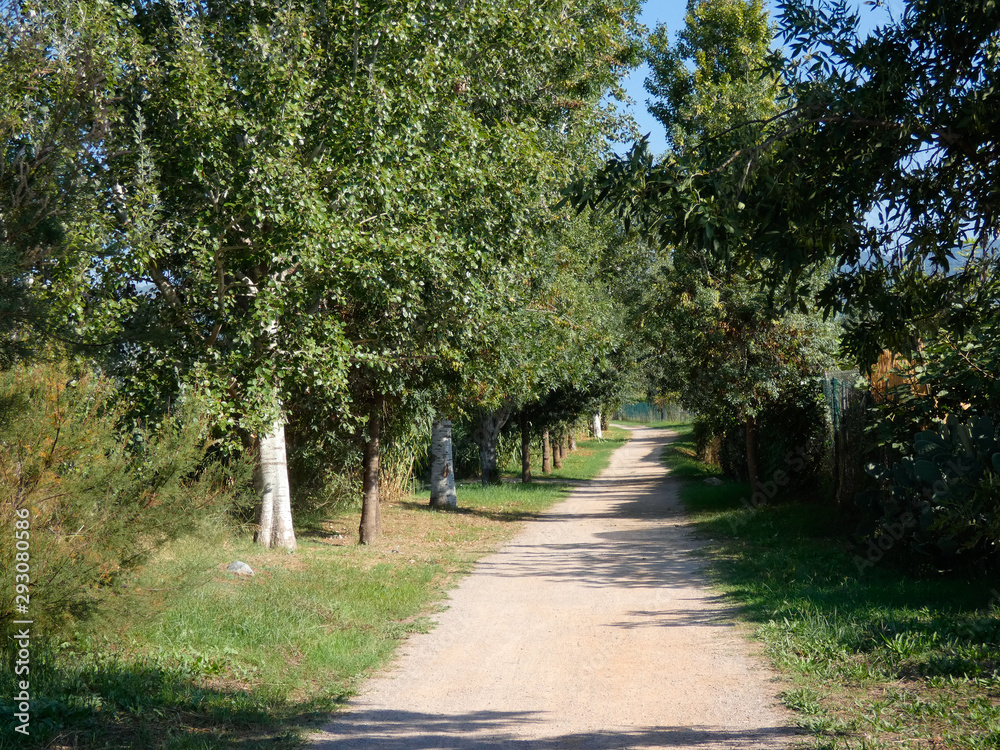 Obraz premium Droga z niepewnym zakończeniem
