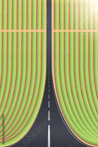 Droneception Road Landscape