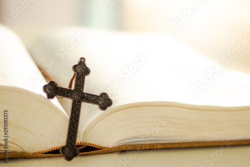 The Cross and the Back, Bible, Jesus Christ