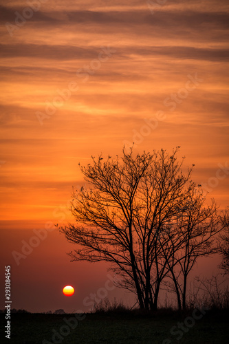 Slavonia region  Croatia  08.11.2018. - Colorful sunset with trees and old hunting spot