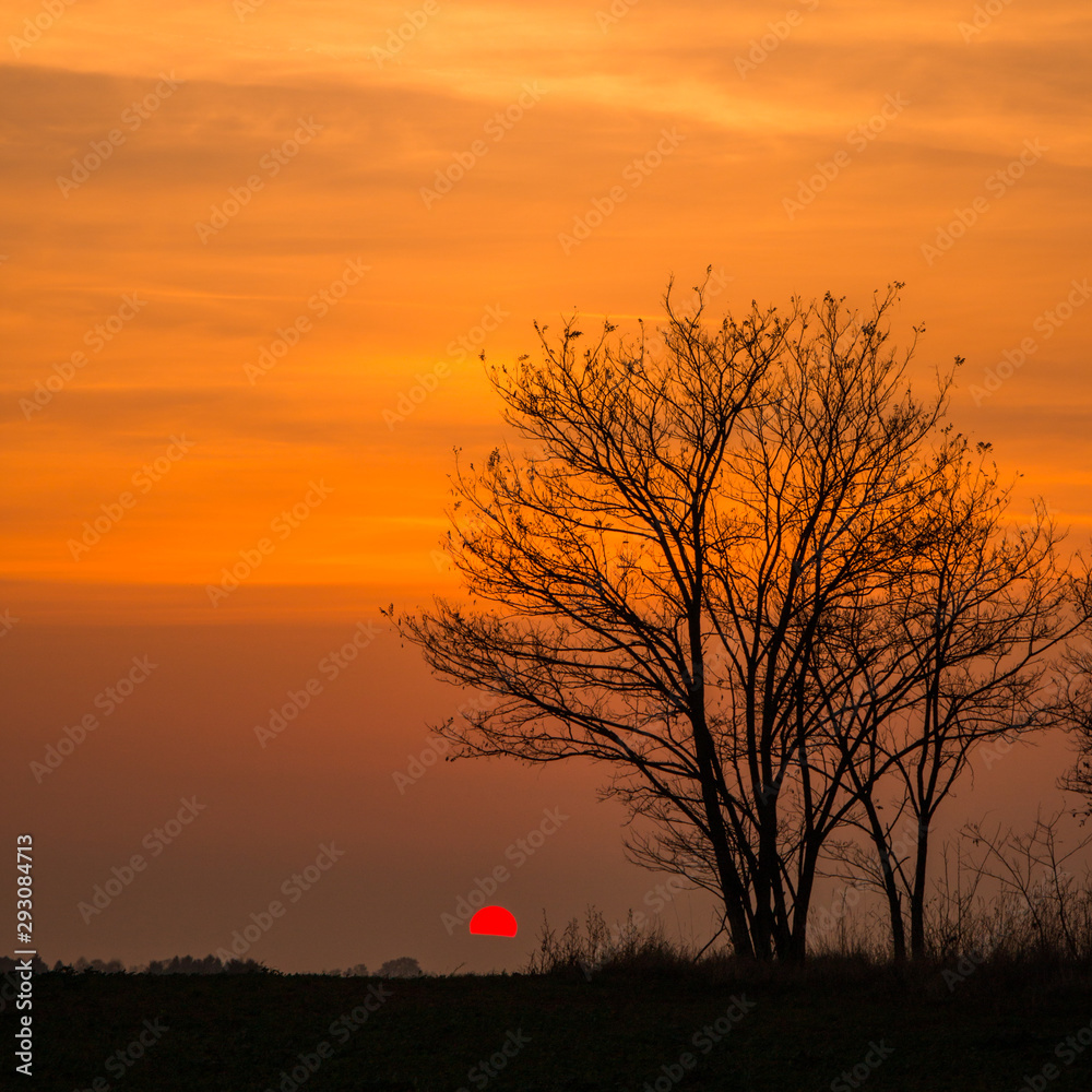 Slavonia region, Croatia, 08.11.2018. - Colorful sunset with trees and old hunting spot Slavonia region, Croatia, 08.11.2018. - Colorful sunset with trees and old hunting spot