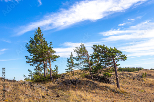 Nuraly mountain range near Zyuratkul national park. Nuraly mountain range is located on the border of the Bashkortostan republic and Chelyabinsk region. Bashkortostan, South Ural, Russia photo