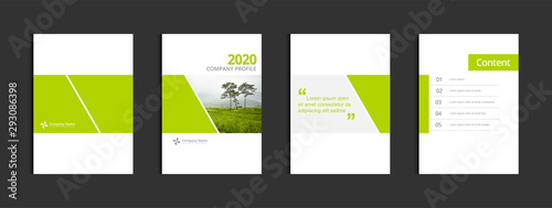 Business cover design template vector. Template A4 for annual report catalog magazine flyer booklet brochure. Sample image with Gradient Mesh.