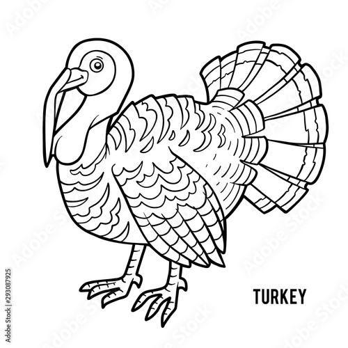 Coloring book, Turkey