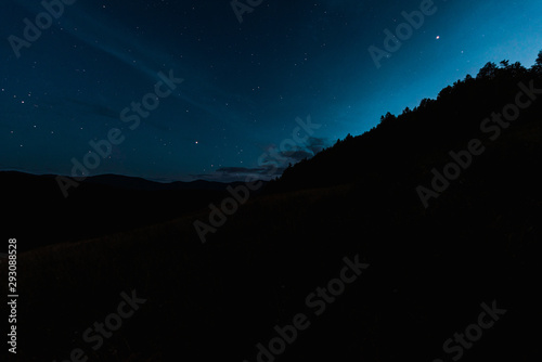 sky with shining stars near trees at night