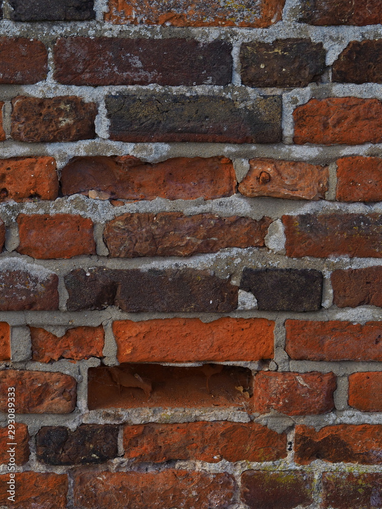 Obraz premium old brick wall surface