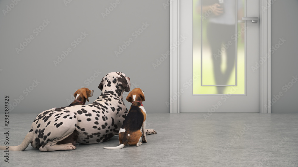 Obraz premium Dog Waiting By Front Door. 3d rendering