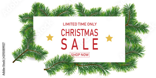 Christmas holiday sale with fir branches. Limited time only. Template for a banner, shopping, discount. Vector illustration for your design