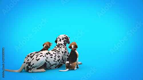 Dog Waiting By Front Door. 3d rendering © lchumpitaz