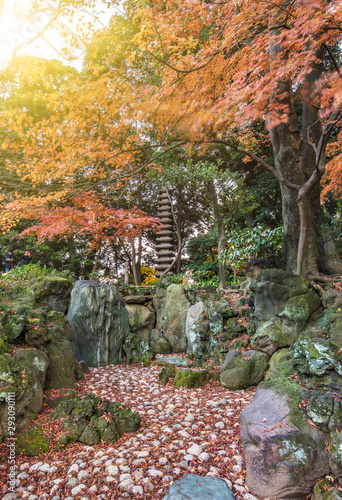 Tokyo Metropolitan Park KyuFurukawa's japanese garden's  dry waterfall and fifteen stories pagoda overlooking by red maple momiji leaves in autumn. photo