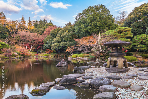Tokyo Metropolitan Park KyuFurukawa's japanese garden's Yukimi stone lantern overlooking by red maple momiji leaves in autumn.