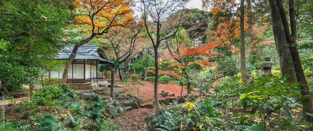 Panorama of the Tokyo Metropolitan Park KyuFurukawa japanese garden's tea house in the forest of maples and pines trees in autumn.