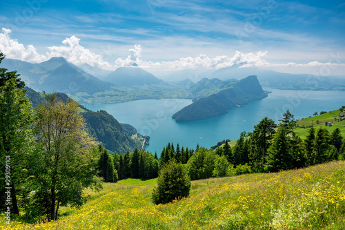 Aussicht vom Vitznau Hinterbergen auf den Vierwaldstättersee photo