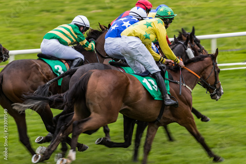 Race horses and jockeys competing for position on the final furlong, motion blur speed effect