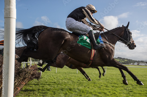 Close-up on Race horse and jockey jumping over a hurdle