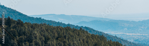 panoramic shot of mountains near green trees