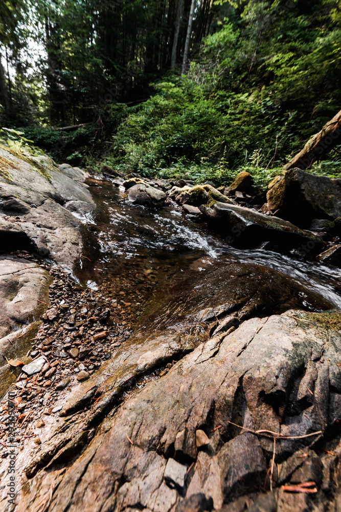 river flowing near wet rocks and green trees river flowing near wet rocks and green trees
