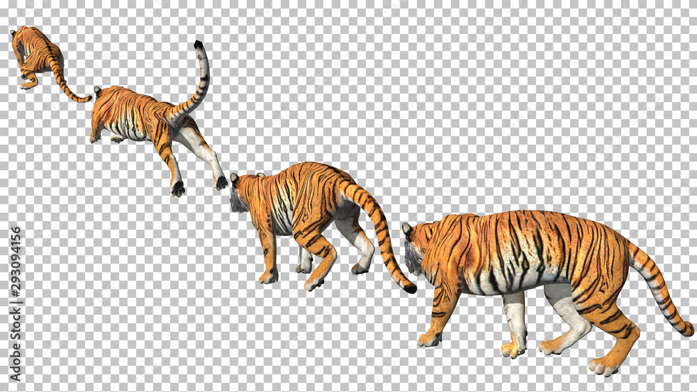 Bengal tiger pose jump animation with pose to pose by 3d rendering include  work path for alpha. Stock Photo | Adobe Stock