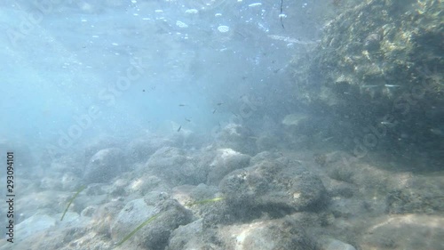 Wallpaper Mural Slow motion grass floating under water, sharp rocky shore Torontodigital.ca