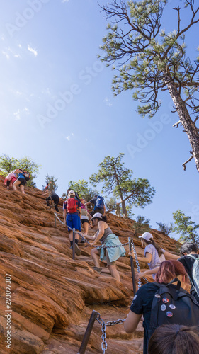 Mass tourism, many people on the hiking trail up to Angels Landing in the Zion National Park, Utah, USA