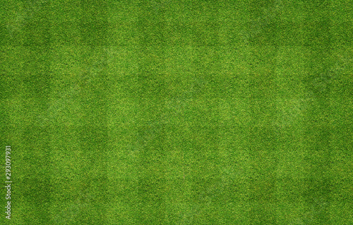 Texture background of football field