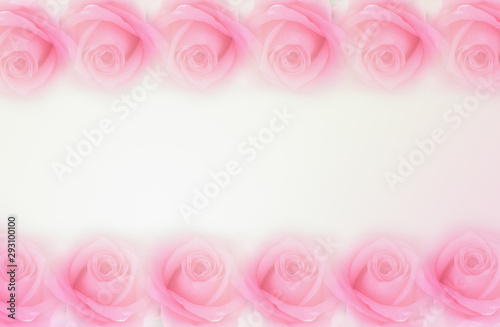 Sweet color roses in soft style for background. Valentine's concept - Image