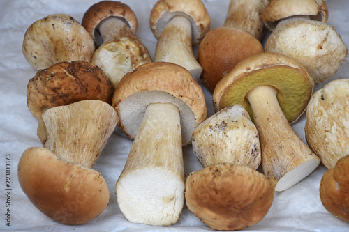 Porcini edible mushrooms at retail display