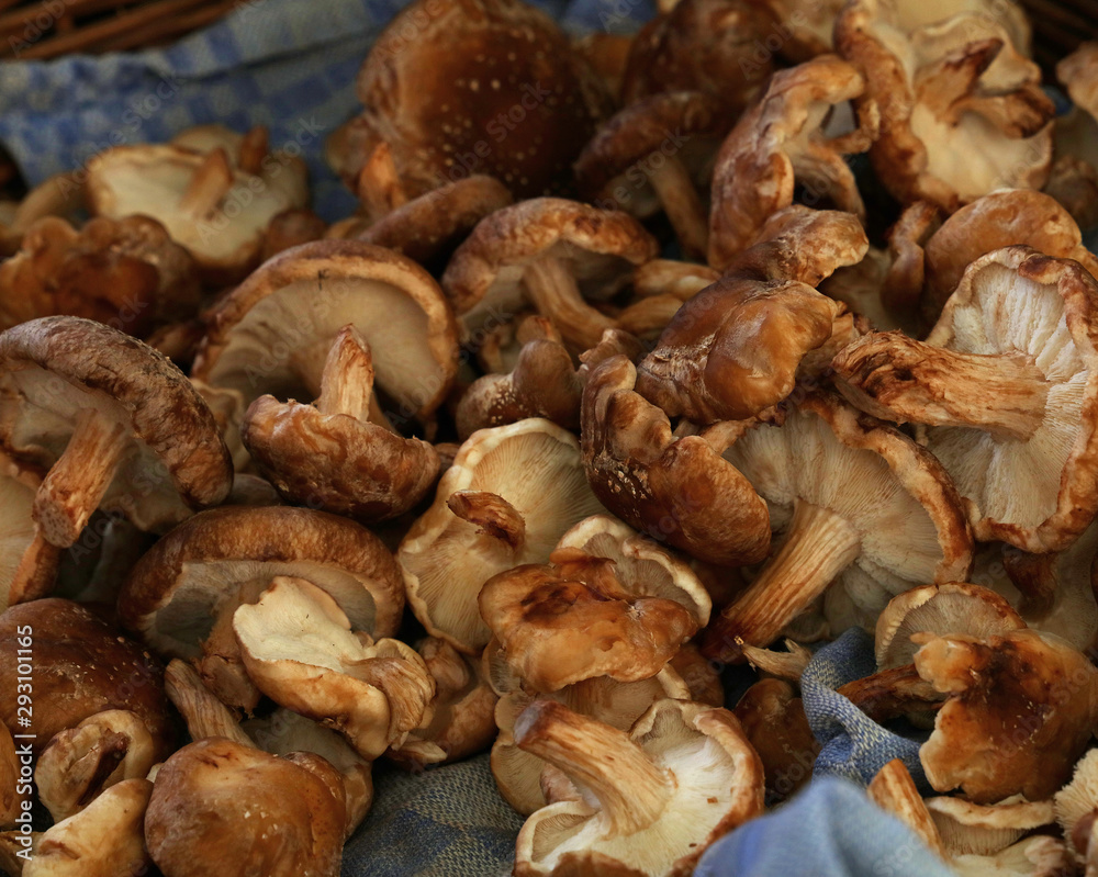 Shiitake edible mushrooms at retail display Shiitake edible mushrooms at retail display