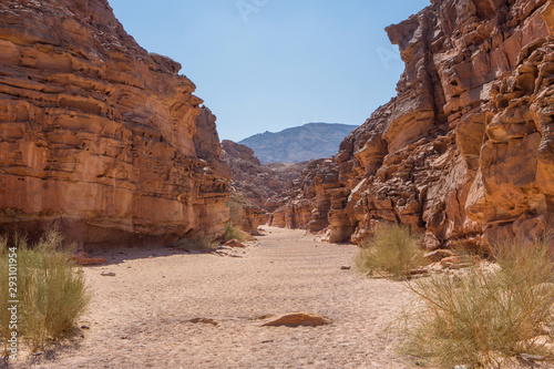 Photo Red Sandstone Canyon in the Sinai Desert
