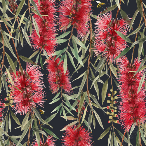 Watercolor australian callistemon seamless pattern