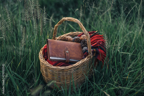basket with book and blanket