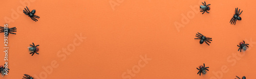 top view of scary spiders on orange background with copy space, panoramic shot