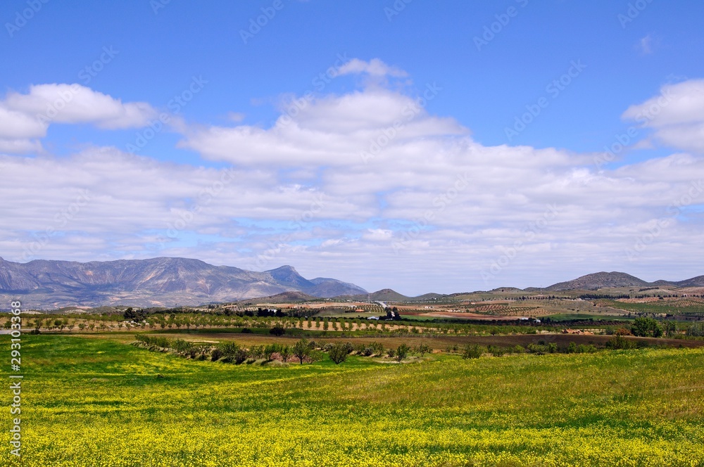 Spring flowers in field with the Sierra de Maria mountains to the rear, Puertecico, Spain.