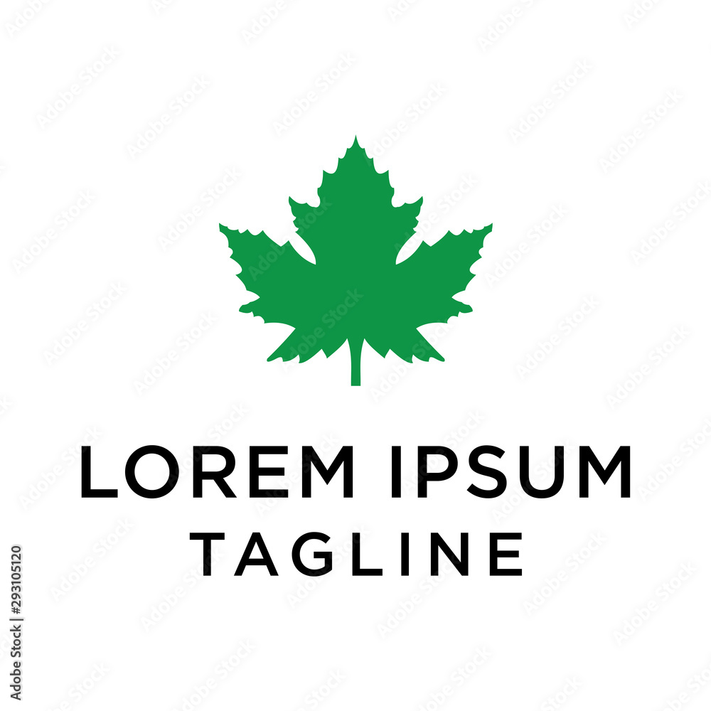 leaf maple Logo Illustration Template