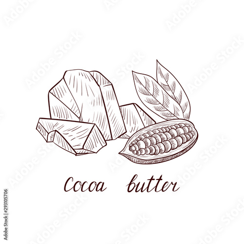 vector drawing cocoa butter