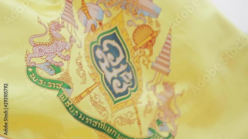 Slow Motion Video Of Thai Flag of the king Maha Vajiralongkorn photo