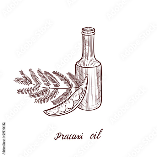 vector drawing pracaxi oil