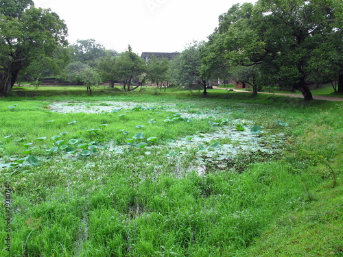 The lake in Polonnaruwa, Sri Lanka photo