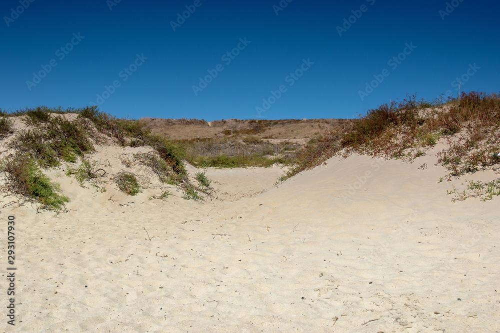 dunes on a sandy beach against a blue sky