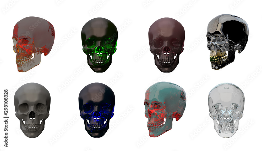 3d rendering illustration of skull anatomy 3d rendering illustration of skull anatomy