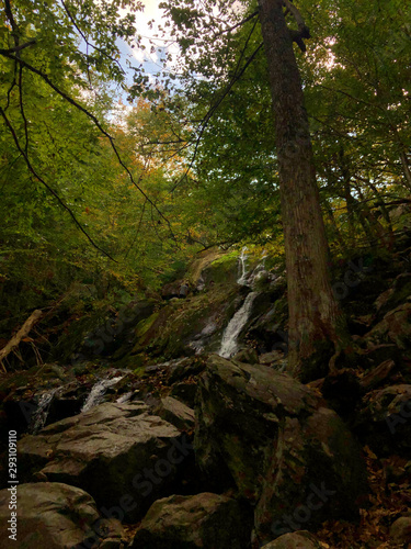 Dark Hollow Falls trail, Shenandoah National Park, September 2019