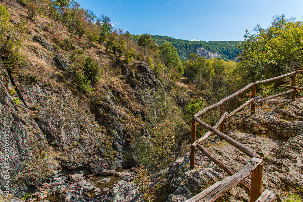 Fototapeta premium Wooden bridge in the forest in Balkan mountains