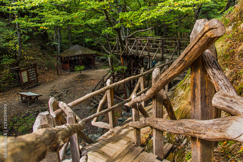 Wooden stairs in the forest in Balkan mountains Wooden stairs in the forest in Balkan mountains