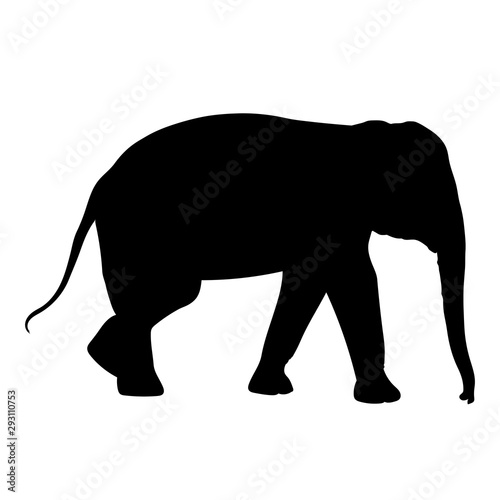 Black elephant silhouette Asia walking  graphics disign vector outline Illustration isolated on white background