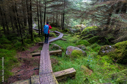 Wooden path in Wicklow way with a excursionist girl.