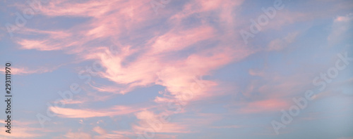 Beautiful pink clouds during sunset, blue sky with clouds background. © COLOR PHOTO
